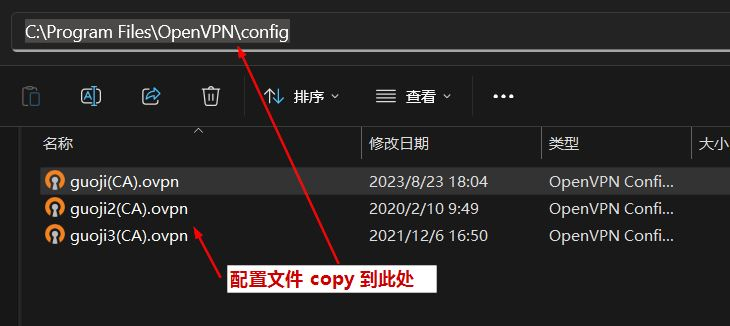 全方位指南，VPN配置程序安装、设置与优化技巧解析,VPN配置程序示意图,vpn配置程序,vpn,vpn.,VPN服,第1张